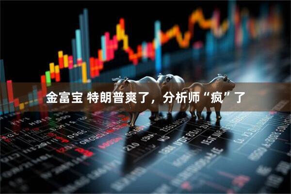 金富宝 特朗普爽了，分析师“疯”了